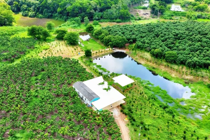 正德儿康iPMDT（澄迈）大自然疗愈基地
